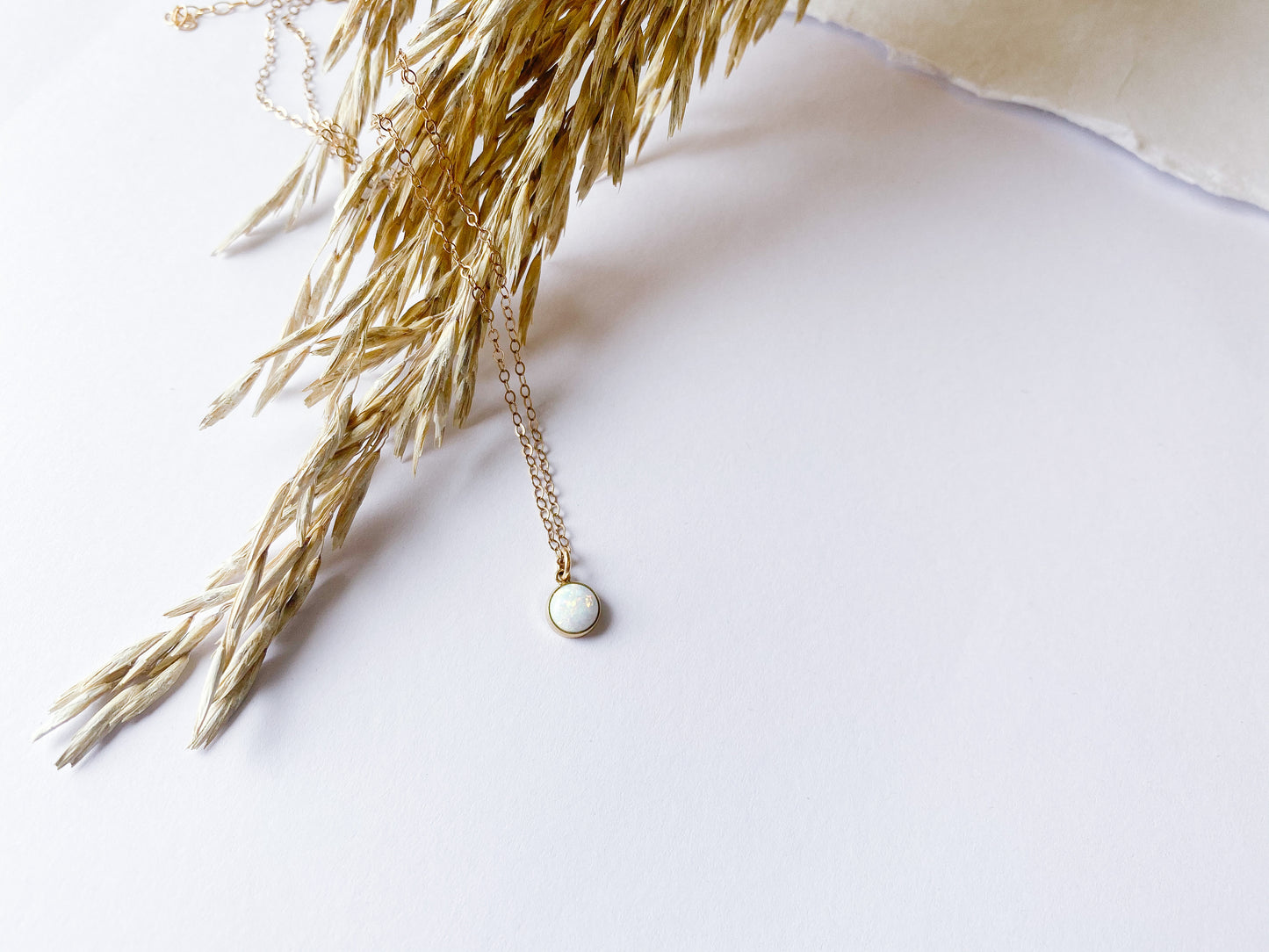 Salt + Light Necklace